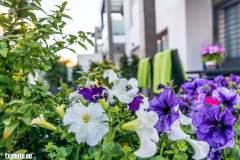 appartement-espagne-à-louer-sunny-villa-plage5