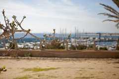 PHOTO-2023-08-05-16-47-53-7