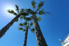 appartements-espagne-vue-infinie-été-18