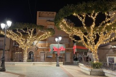IMG_3789-2