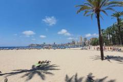 9a2ce4ed7_730259943-1