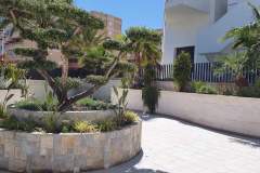 20200518_120707-1-scaled