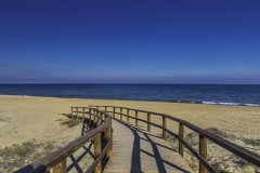 appartements vérifiés à louer à Alicante 2